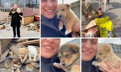 Bayramda Sokak Hayvanlarına Sevgi Dolu Destek