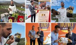 Dünya Kestane Balı Birincisi ZAYBİR Başkanlığı'na Adaylığını Açıkladı