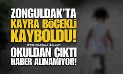 Zonguldak Alarmda: Kaybolan Kayra Böcekli Her Yerde Aranıyor