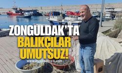 Zonguldak'ta Deniz Çöp Dolu. Balıkçılık Kaderine Terk Edildi!