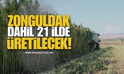 Zonguldak Dahil 21 İlde Kenevir Üretimine İzin Verildi!