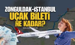 Zonguldak İstanbul Uçak Bileti Fiyatları