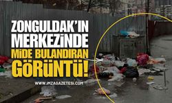 Zonguldak Merkezde Rezalet: Mide Bulandıran Görüntü!