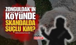 Zonguldak'ın Köyünde Yaşanan Skandalda Suçlu Kim?
