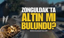 Zonguldak'ta Altın Madeni Mi Bulundu?