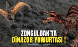 Zonguldak’tan Dinazor Yumurtaları Mı?