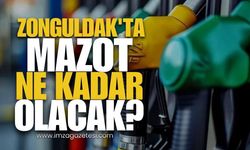 Zonguldak'ta Mazot Ne Kadar Olacak?