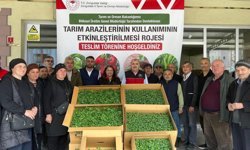 53 Bin 400 Adet Domates Ve Biber!