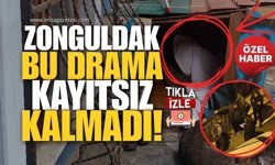 Zonguldak Bu Drama Kayıtsız Kalmadı! Hüseyin Amca Köpek Kulübesinde Kalmayacak!