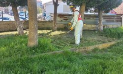 Beldede Yoğun Mesai!