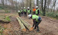 Beldelerdeki Ormanlarda Bakım Çalışmaları!