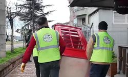 Belediyeden Ortak Alan İşgaline Geçit Yok!