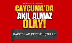 Çaycuma'da Akıl Almaz Olay! Kaçırdılar, Dereye Uçtular!