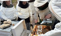 Hasbeyler arıcılığı Öğreniyor: Eğitimler sahaya taşındı