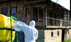 Komşuda 95 Köyde Kahverengi Kokarcayla!