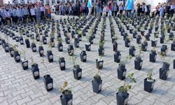 Gül Toprağa, Salavat Kalbe!