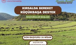 Kırsalda Bereket Sürülerde Hareket Başlıyor!