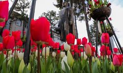 Komşu Rengarenk Lalelerle Donatıldı!