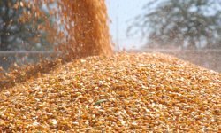 Komşuda Yüzde 50 Hibeli Dağıtılacak!