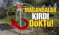 Magandalar Kırdı, Döktü!