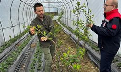 Müdür Erik Serasını İnceledi!
