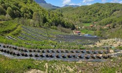 Müdürlerden Eczacının Bahçesinde İnceleme!