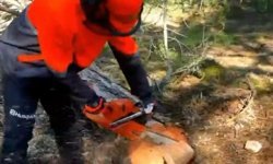 Öğrencilere Uygulamalı Orman Ürünleri Anlatıldı.