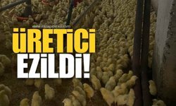 "Üretici, Girdi Maliyetleri Altında Eziliyor"