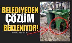 Vatandaş Zonguldak Belediyesi'nden Çözüm Bekliyor!