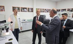 Yeşil Vatan Dimdik Ayakta Kalacaktır!