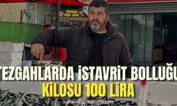 Zonguldak Tezgahlarında İstavrit Bereketi!