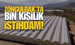 Zonguldak’ta 1000 Kişilik İstihdam!