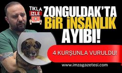 Zonguldak’ta Bir İnsanlık Ayıbı! 4 Kurşunla Vuruldular!