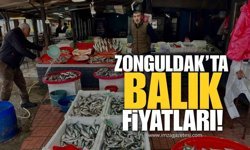 Zonguldak’ta Canlı Canlı Balık Fiyatları!