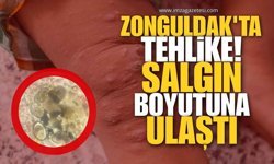 Zonguldak’ta Tehlike! Salgın Boyutuna Ulaştı!