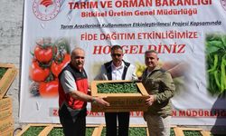 Müdürlükten Yüzde 75 Hibeli Dağıtım!