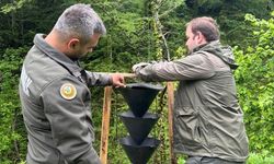 Böcekleri İncelediler!