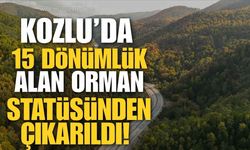 Kozlu'da 15 Dönümlük Orman Alanı Statüden Çıkarıldı!