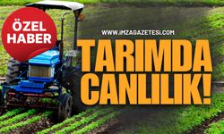 Tarımda Canlılık! Zonguldak’taki Kadınlara 5 Bin Adet!