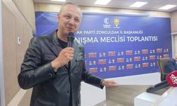 Aslanınıza Sahip Çıkmazsanız Sokak Köpekleri Parçalar!