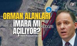 Deniz Yavuzyılmaz: “Zonguldak’ta Orman Alanları Ranta Ve Talana Mı Açılıyor?”