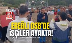 Ereğli OSB’de Maaş Krizi! İşçiler Fabrika Önünde Toplandı!
