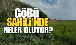 Göbü Sahili'nde Neler Oluyor? Vatandaşlar Merak İçinde!