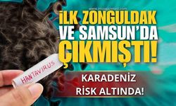 İlk Hantavirüs Vakası Zonguldak ve Samsun'da Çıkmıştı! Karadeniz Risk Altında!