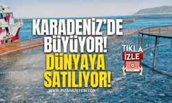 Karadeniz’de Büyüyor, Dünyaya Satılıyor!