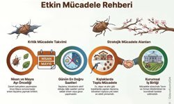 Kahverengi Kokarcayla Mücadelesinde Kritik Takvim!