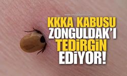 Kene Kabusu Zonguldak’ı da Tedirgin Ediyor! Uzmanlardan Kritik "Erken Müdahale" Uyarısı!