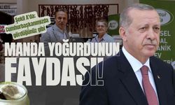 Manda Yoğurdunun faydası; "Şekil A'da; Cumhurbaşkanımızda gördüğünüz gibi"