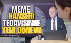 Meme Kanseri Tedavisinde Yeni Dönem: Nano Teknoloji