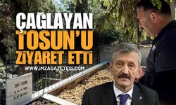 Mustafa Çağlayan'dan Zeki Tosun'a Ziyaret: Mezarı Başında Dua Etti